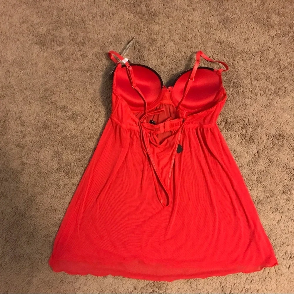 Daisy Fuentes brand new